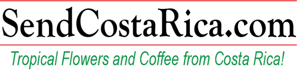 Send Costa Rica